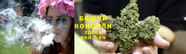 ГАЛЛЮЦИНОГЕННЫЕ ГРИБЫ Богородицк