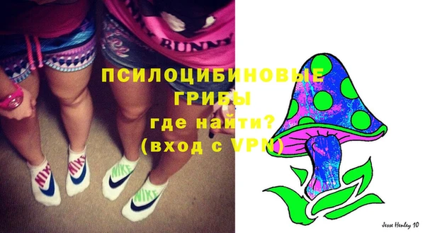2c-b Белокуриха