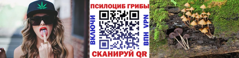 Псилоцибиновые грибы Cubensis  Боровичи 